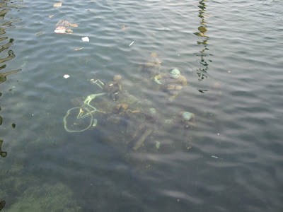 Estatua bajo el agua (con bicicleta incluida)