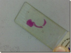 histology slide view (3)