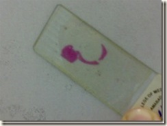 histology slide view (3)_thumb