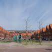 02_GoudenKlinker_13-04-10.JPG