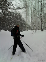 SNC00071.jpg Photo