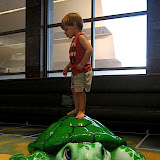 IMG_8879.jpg IMG_8879.jpg