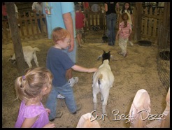 Petting Zoo