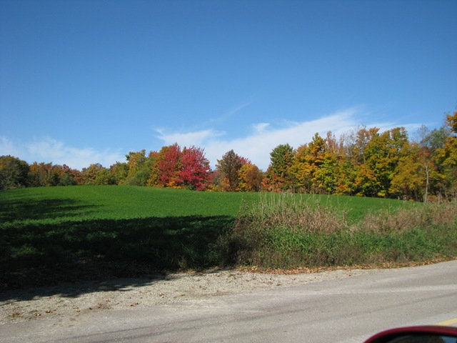 [IMG_15404.jpg]