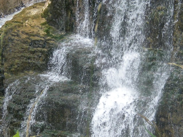 [DSCN23513.jpg]