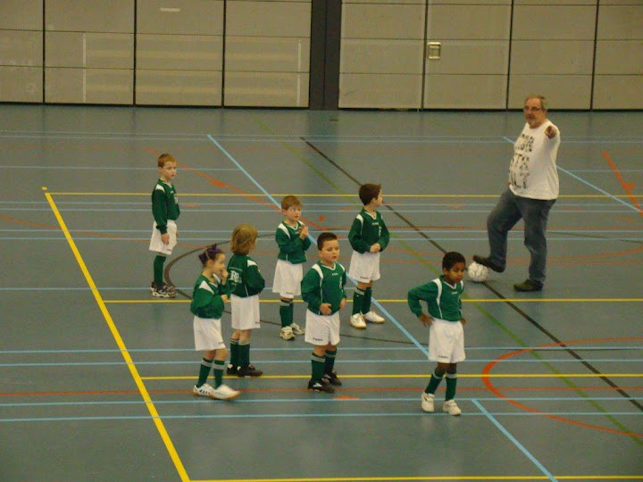 Mini F
