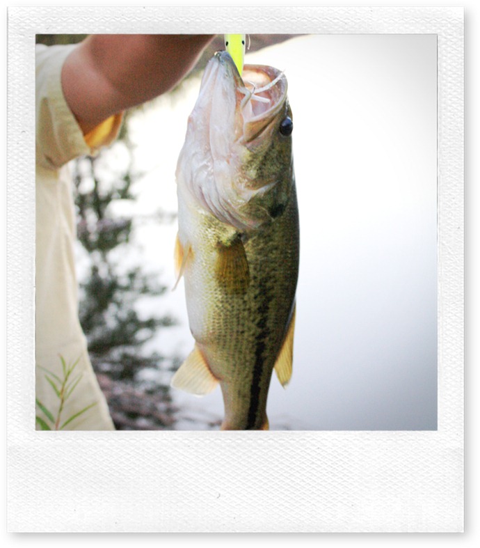 Catch of the day_edited-1