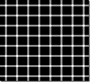 persepsi_ilusi_optis_grid_illusion