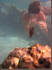 IMG_1975 IMG_1975