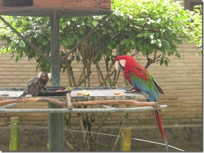 Casal estranho Casal estranho