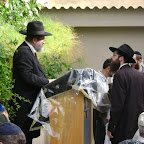DSC03043.JPG