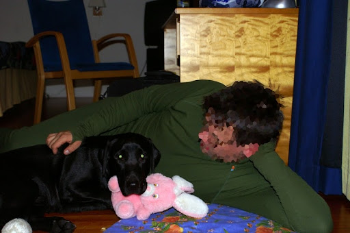 Labradorinnoutaja
