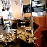 Estos son los cangrejos que pesamos.<br />
These are the crabs that we got.