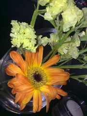 photo2