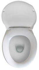 [toiletbowl[4].jpg]