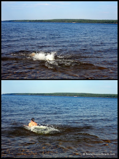 autrain