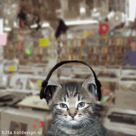 [image0044[2].gif]