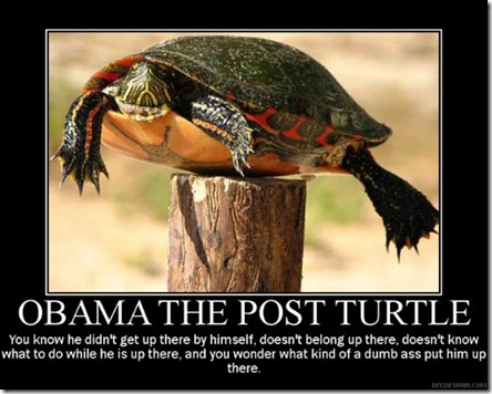 obamapostturtle-1