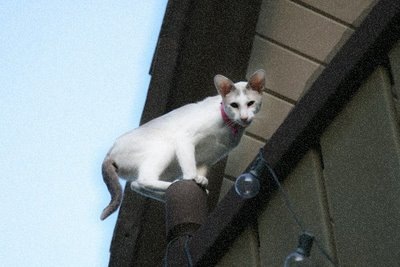 [21JULY (2)[3].jpg]