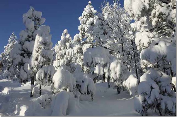 Heavy-Snow