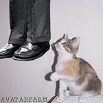 [hangingkitty3.gif]