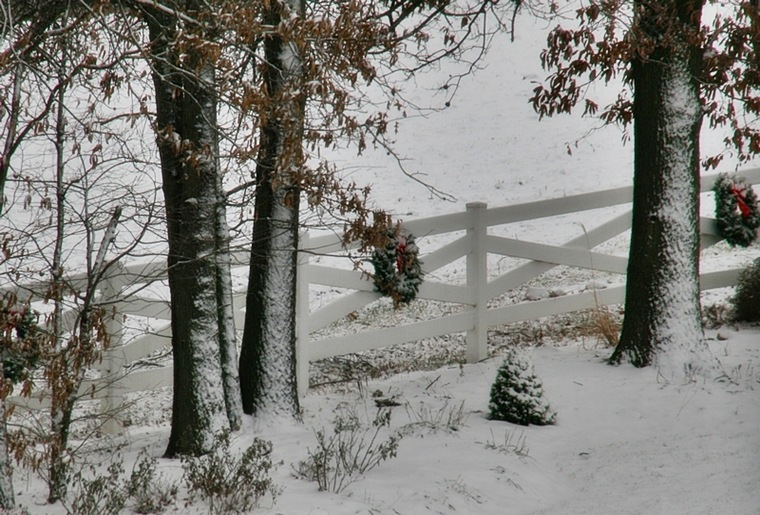 snow6A