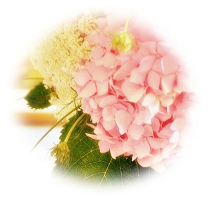 hydrangeatable25