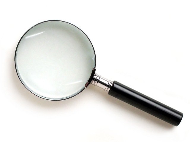 [magnifying-glass[3].jpg]
