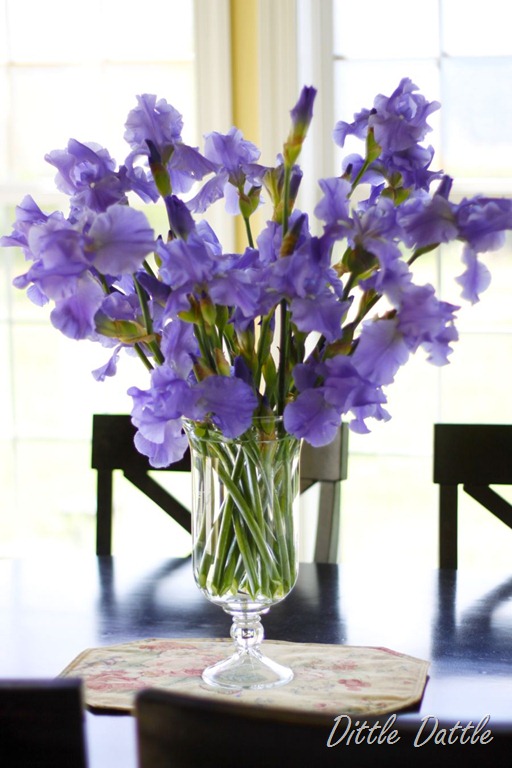 [Purple Iris display[3].jpg]