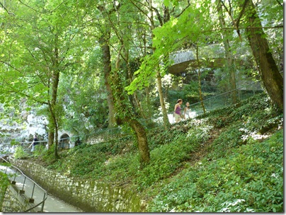 P1030791