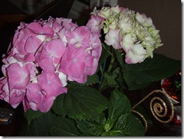 P1170718