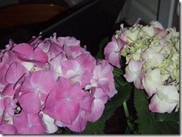P1170720