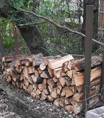 Firewood_spring