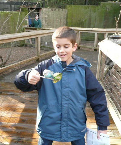 [Beck_with_Two_Birds[3].jpg]