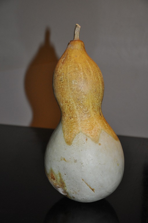 [Gourd[3].jpg]