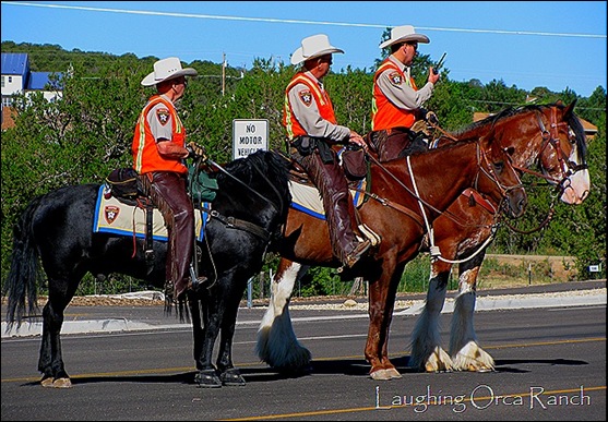 blackhorse3