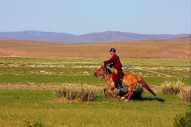 [mongolianhorse19.jpg]