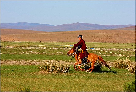 mongolianhorse1