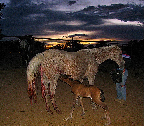 [IMG_6251[8].jpg]