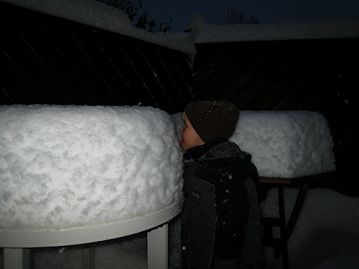 Ýmir fann kökur á pallinum. Hæstánægður