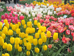 Keukenhof Gardens