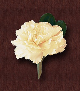 [carnation boutonniere[2].jpg]