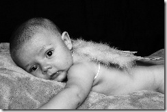 DSC_5498 - Copy