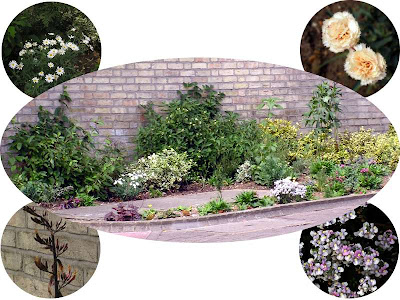 Shift+R improves the quality of this image. Shift+A improves the quality of all images on this page.