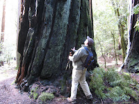 IMG_3812.JPG