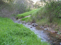 IMG_3839.JPG Photo