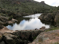 IMG_3997.JPG Photo