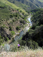 IMG_4139.JPG Photo
