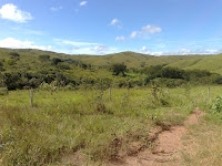 030420102285.jpg Photo