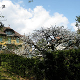 Spring Arrives In Neuchatel